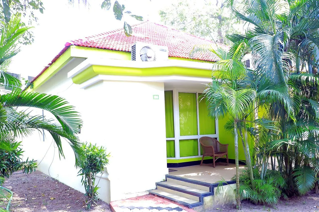 Panoramic Sea Resort By Nextel Alappuzha India